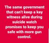 gun control.jpg