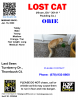 p3238249-1801_PosterImg.png
