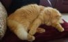 IMG_20200125_134800651~2.jpg