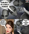 1710960773268.png