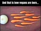 IMG_0578.jpeg