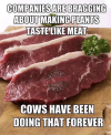 1730314262124.png