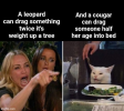 1742530678780.png