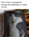1746832447040.png