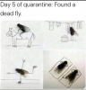 1586771493255.png