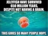 AAC7B74E-4450-4321-9F89-CF65AD599B38.jpeg