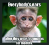 1597626116529.png