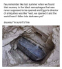 1597627923779.png