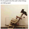 1605983399971.png