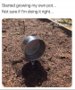 1606364211315.png