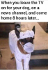 sZ1QzPWD.png