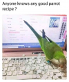1610376975061.png