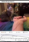 1610674200132.png