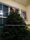 1639171247999.png