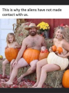 1656825259732.png