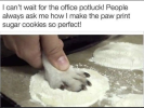 1665084684684.png