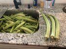 IMG_8971.jpeg