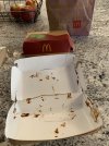 IMG_9192.jpeg